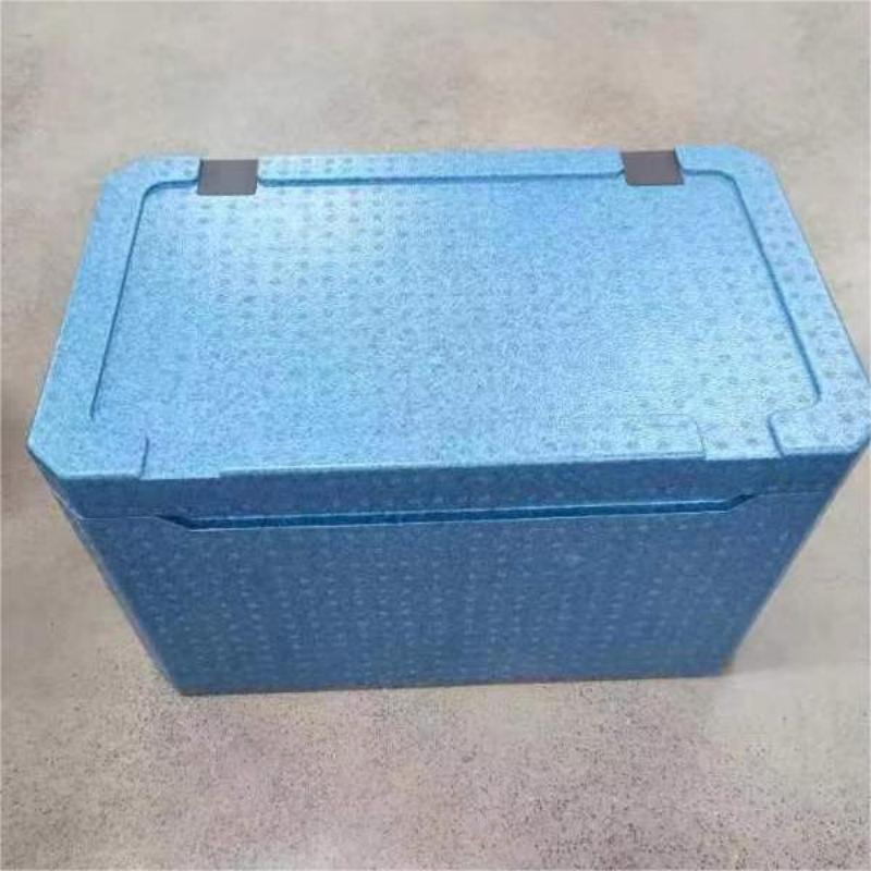 Vacuum Insulation Panel Cooler Box for Cold Storage Customized Size