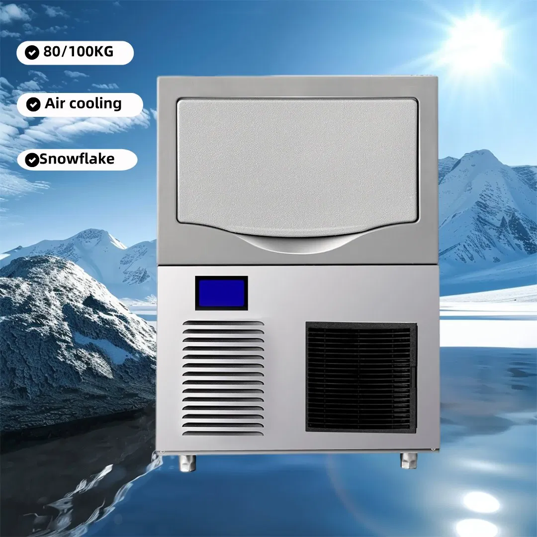 Professional 150kg/24h Snowflake Ice Maker for Factories and Industrial Use