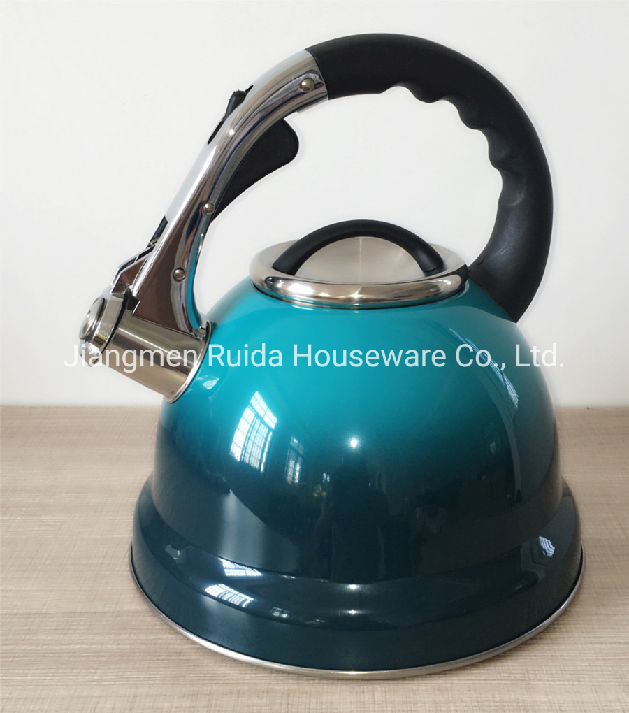 Painting Tea Kettle Pot Whistling Kettle Stainless Steel with Handle