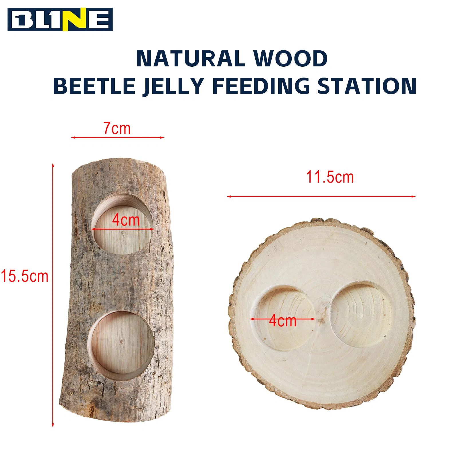 Natural Wood for Habitat Decoration and Beetle Breeding