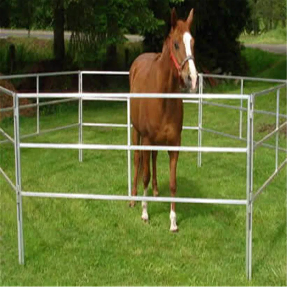 Premium Galvanized Horse Fencing Solutions for International Distributors