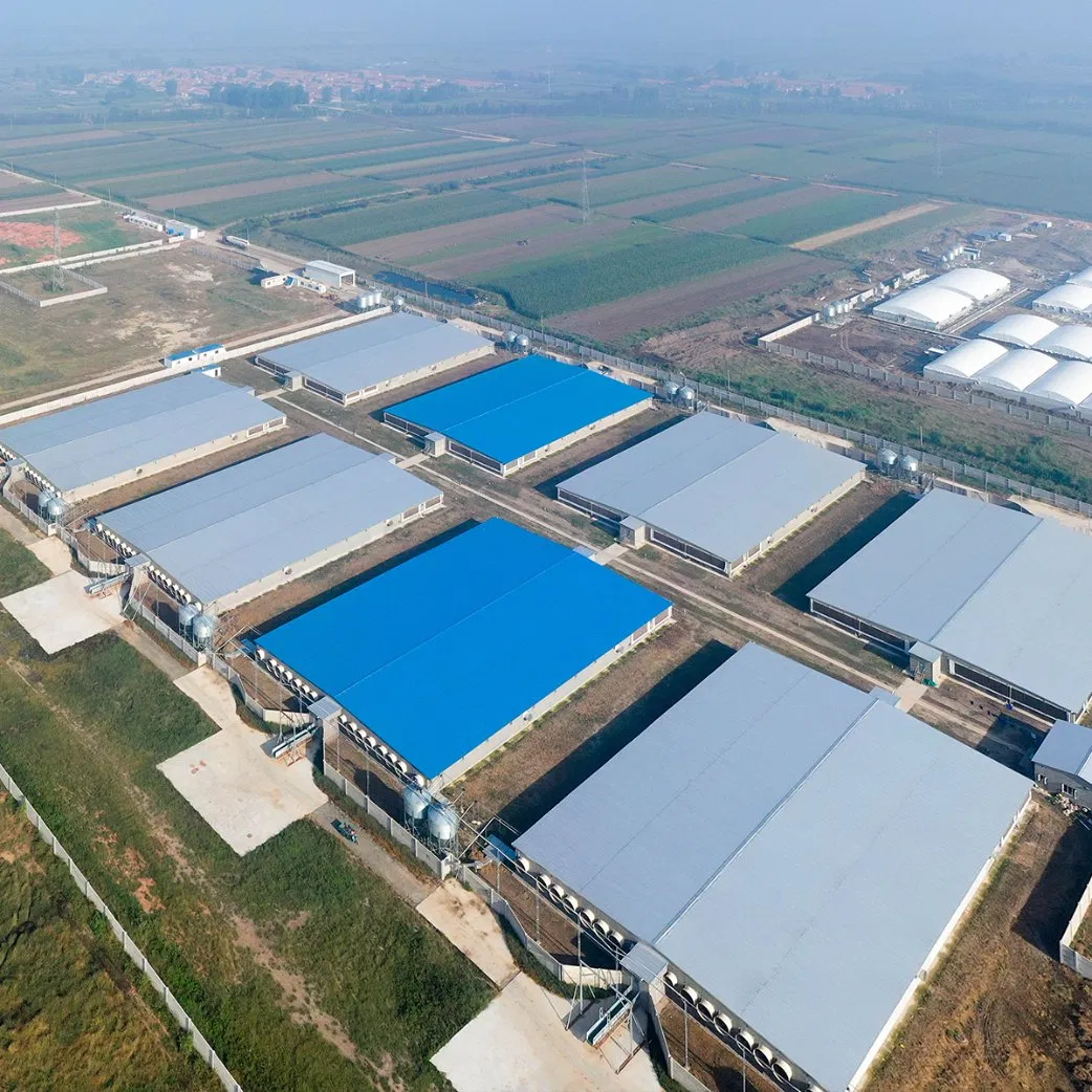 Prefabricated Metal Barn Warehouse Building Prefab Chicken House Cow Shed Pig Farm Steel Structure Warehouse Workshop Factory