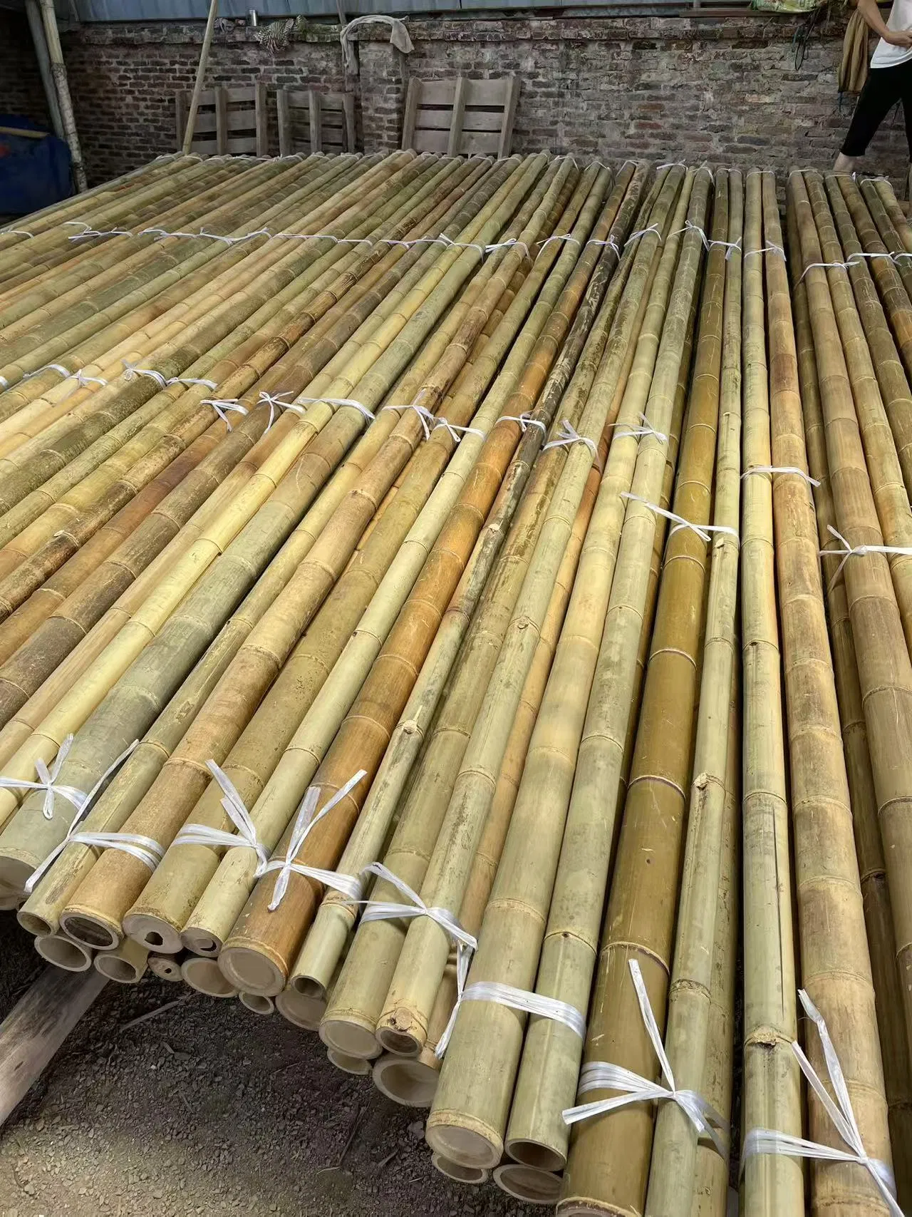 Premium Bamboo Poles for Plant Support High Quality Bulk Wholesale