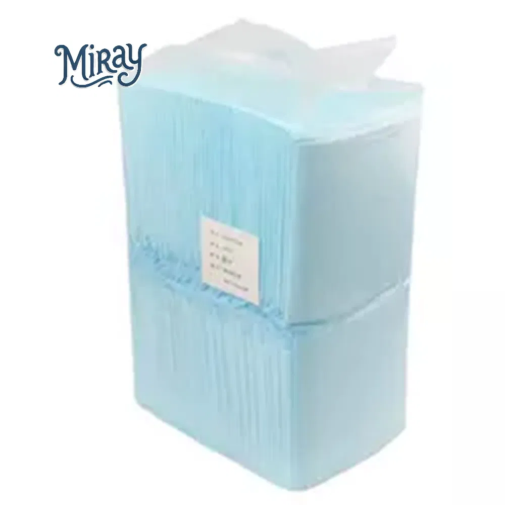 OEM Pet PEE Pad Waterproof Wholesale for Puppy Diaper Training Disposable Pet Urine PEE Absorption Potty Wee Dogs PEE Pads