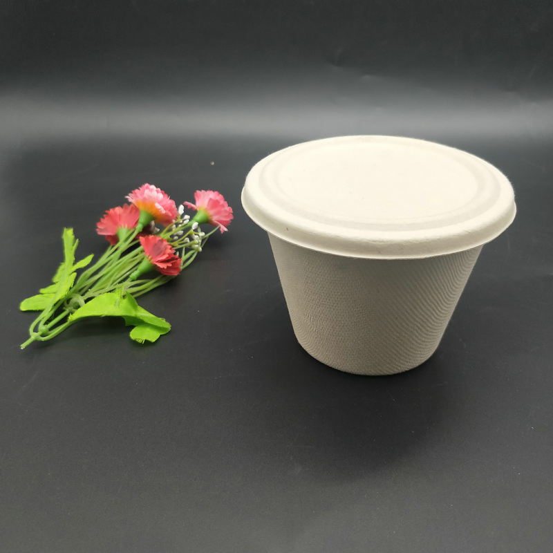 Biodegradable Sugarcane Bagasse 8oz Cup