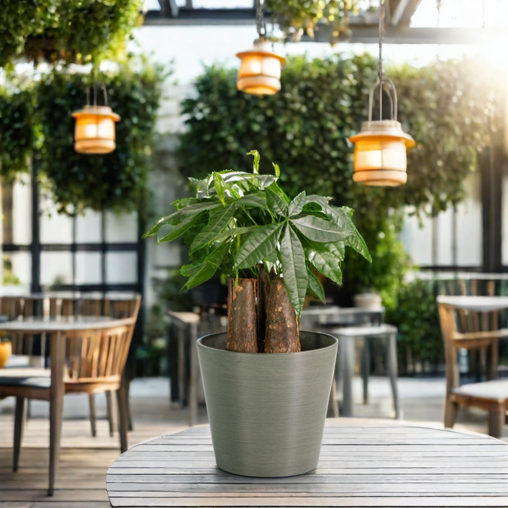 Горшки комнатные садовые классические