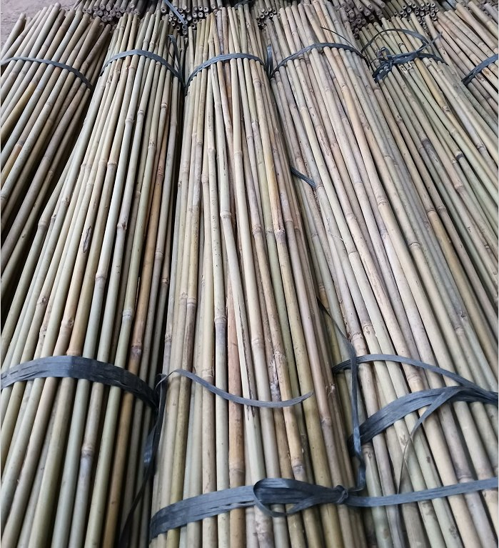 Tonkin Bamboo Poles Used for Flower Racks on Garden Farms/Bamboo Rods Straight