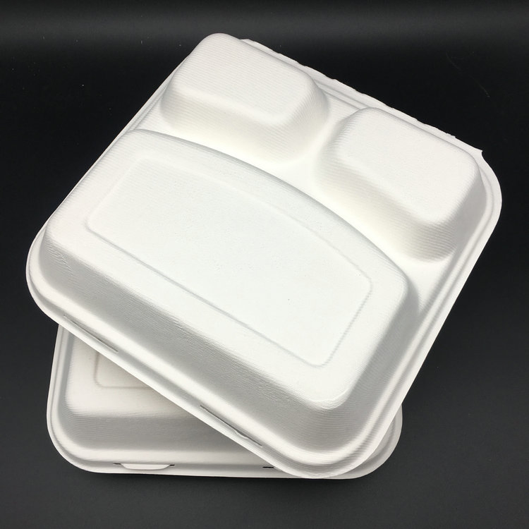 10 Inch Bagasse Lunch Box with 3 Compartments