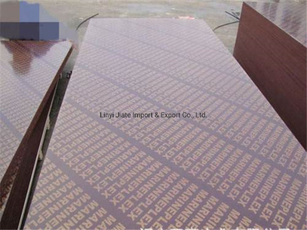 Brown Construction Plywood, Brown Film Faced Plywood