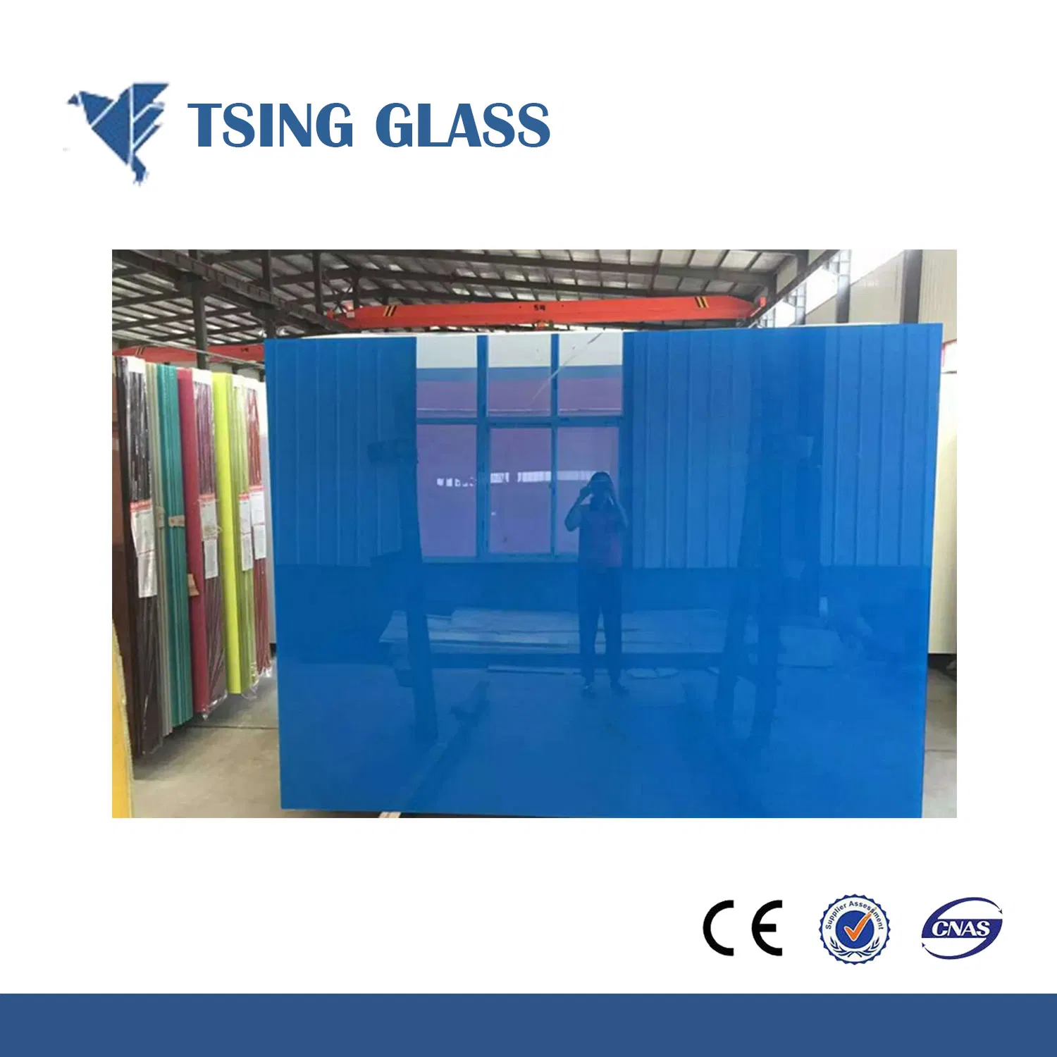 Painted Temperd Glass From 3-8mm with Ce/SGS/ISO Certificate