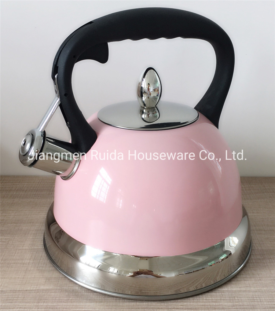 Painting Tea Kettle Pot Whistling Kettle Stainless Steel with Handle