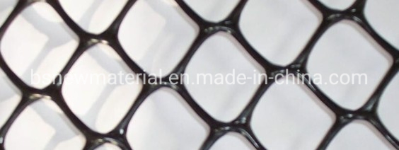 HDPE Plastic Geonet for Drainage