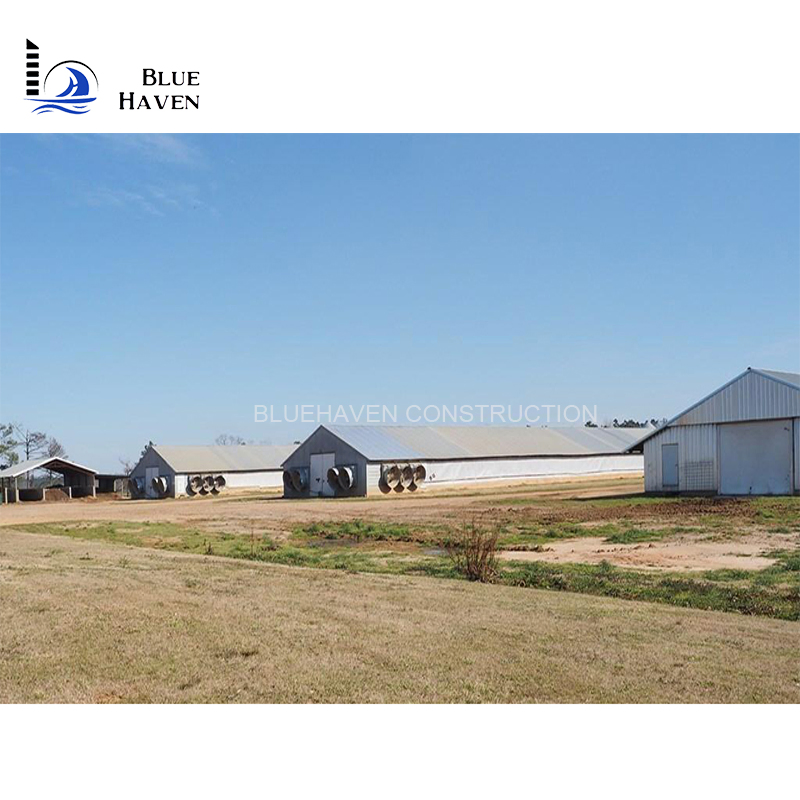 China Chicken Shelter Shed/Workshop/Warehouse Clear-Span Building