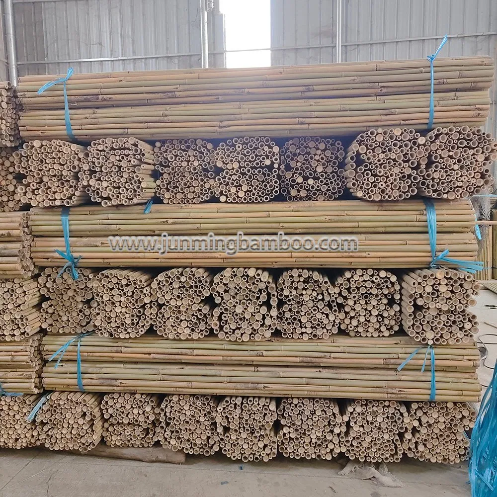 Wholesaler Best Selling Durable Bamboo Fences Natural Bamboo Fencing Garden Screen Rolled Bamboo Fence Panel Made in China