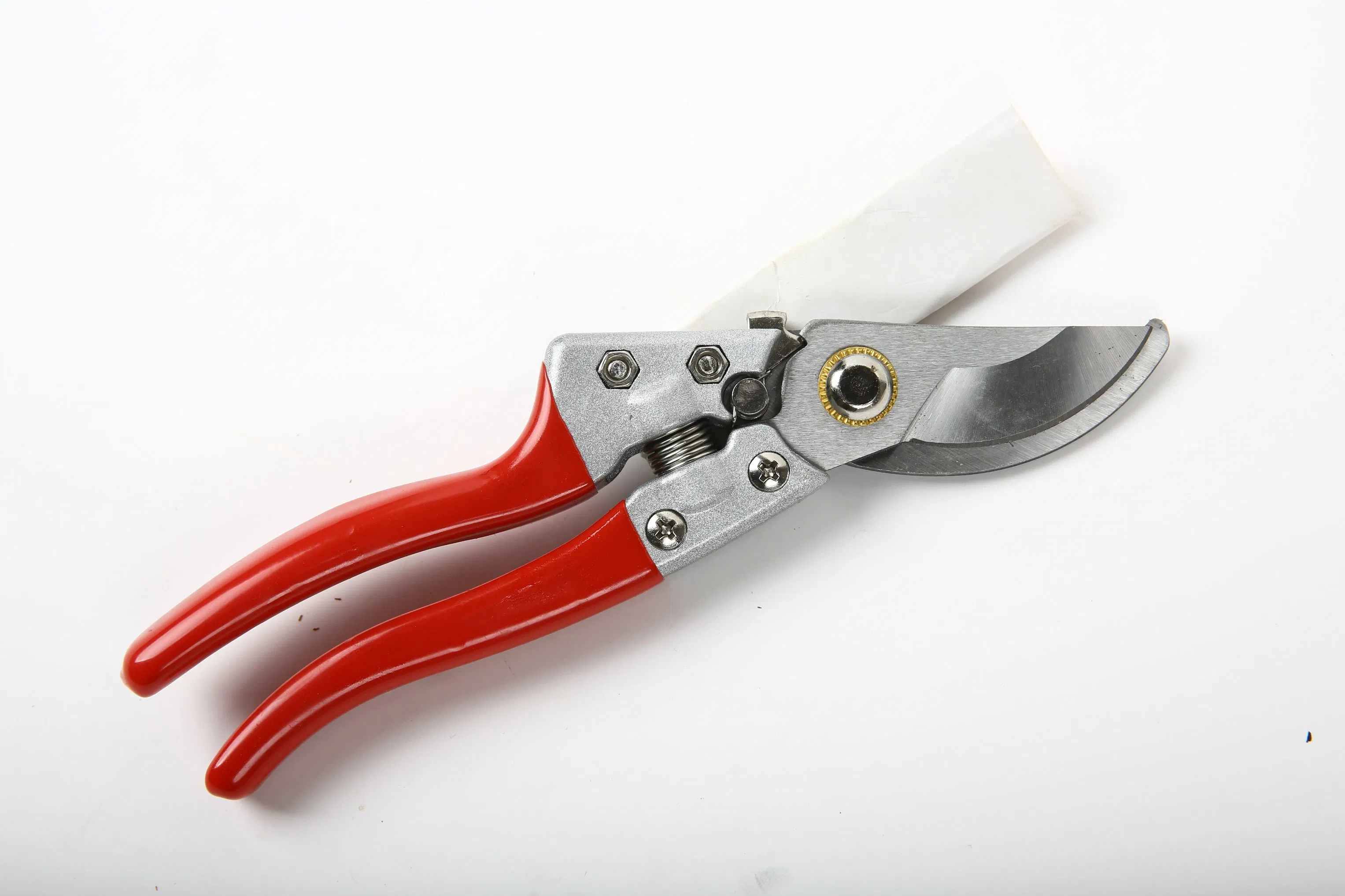 High-Quality Pruning Shears Ideal for Garden and Orchard Work.