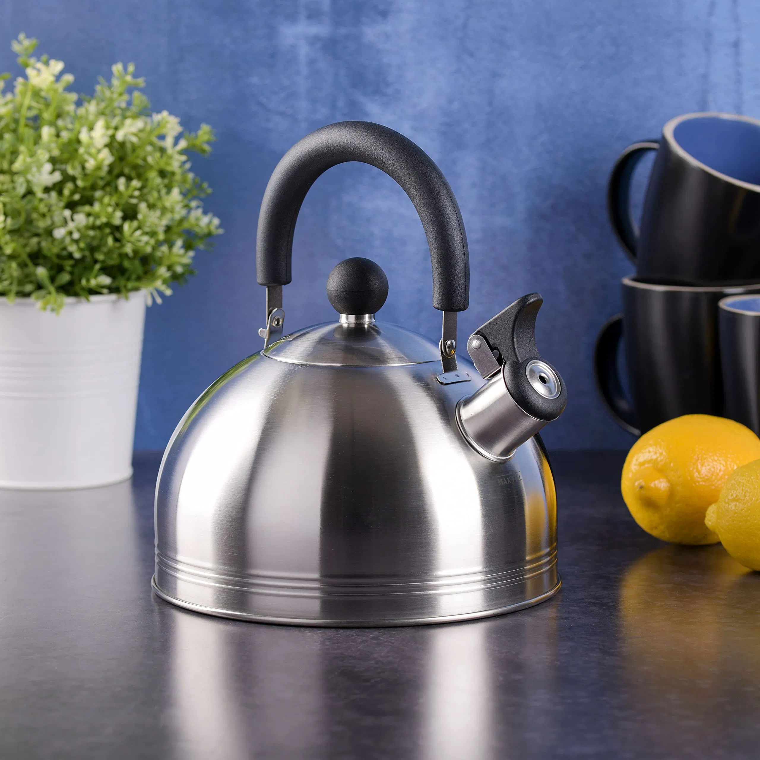 Hot Sale Coffee Carterton Stainless Steel Whistling Tea Mirror Polish Kettle