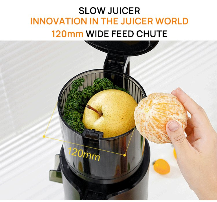 Sj-067 Large Feeding Mouth Juicer Machine Cold Press Slow Juicer