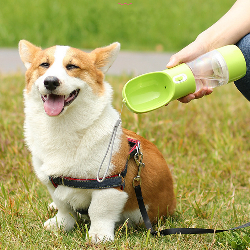 Portable Multi-Function Pet Water Bottle and Food Dispenser