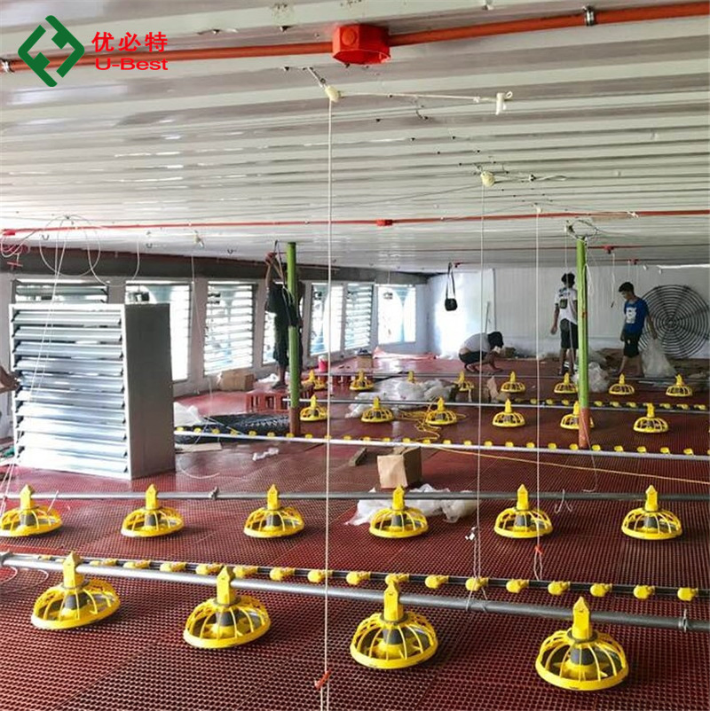 Poultry Chicken Farm Equipment with Automatic Feeding System