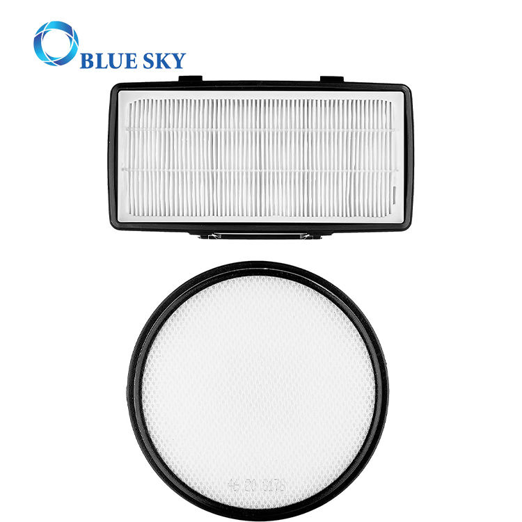 HEPA Filter and Pre-Motor Filter for Rowenta Zr006001 RO6941e