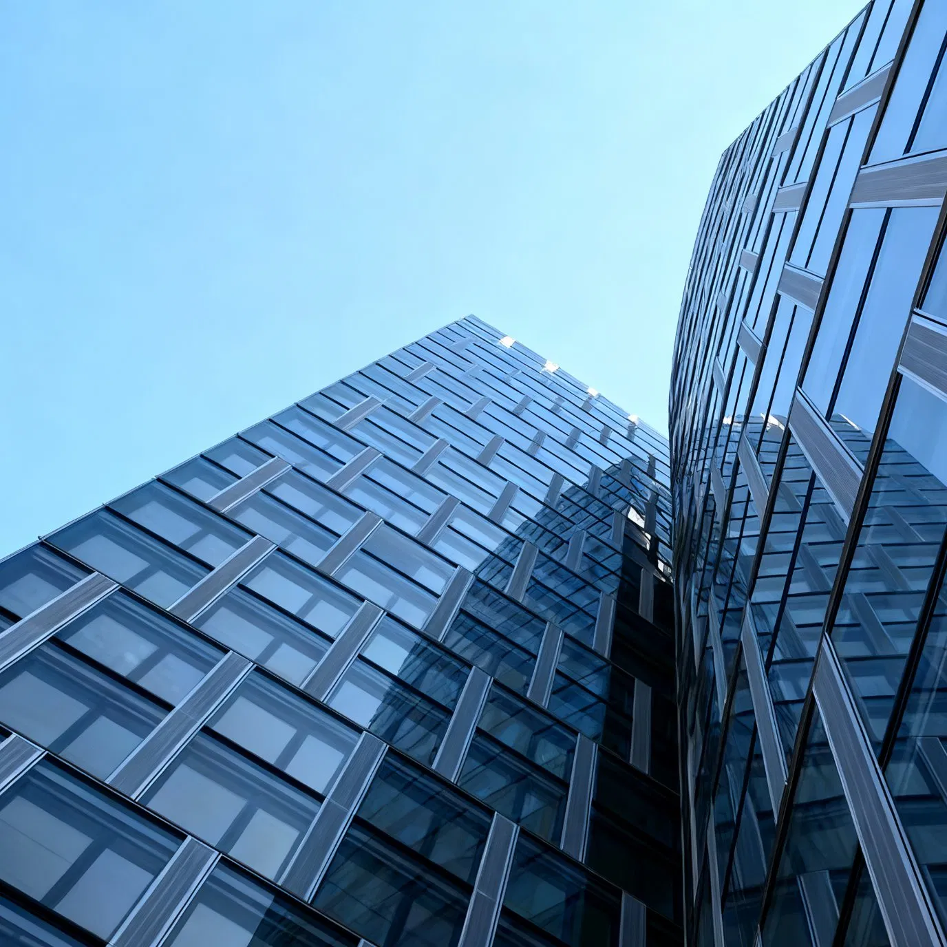 Versatile Decorative Curtain Walls to Enhance Any Room's Aesthetic