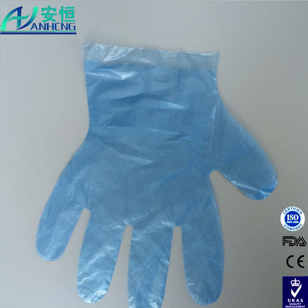Clear PE Disposable Plastic Glove for Household and Restaurant Protection