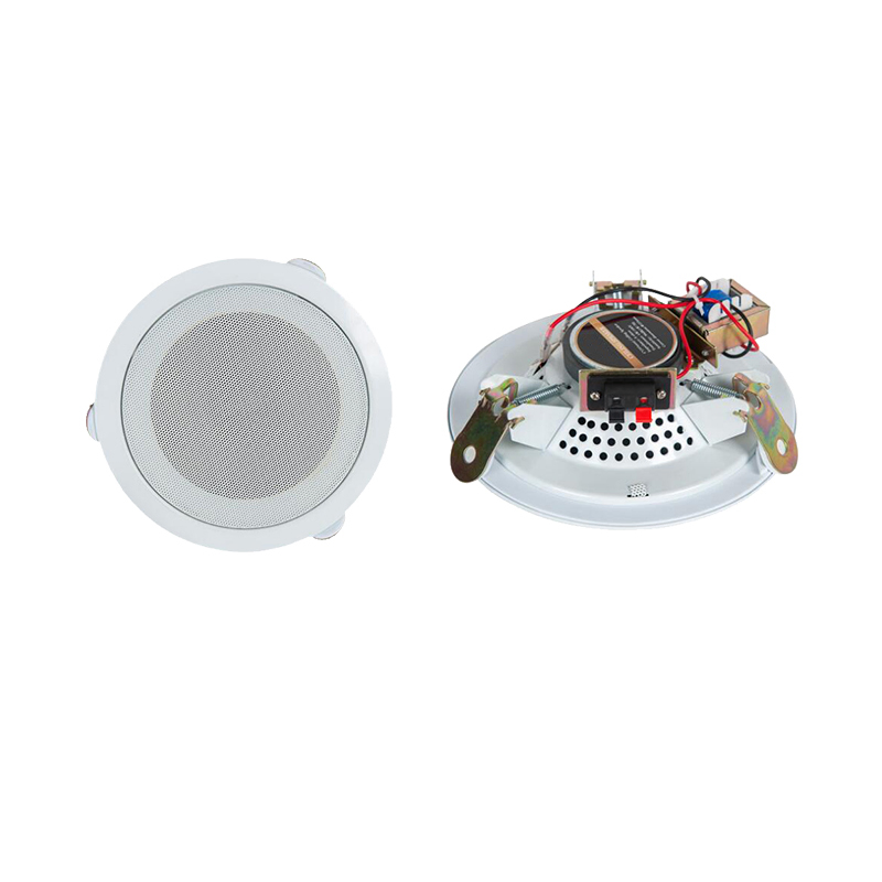 Ceiling Loudspeaker, Speaker, Ceiling, Coaxial,