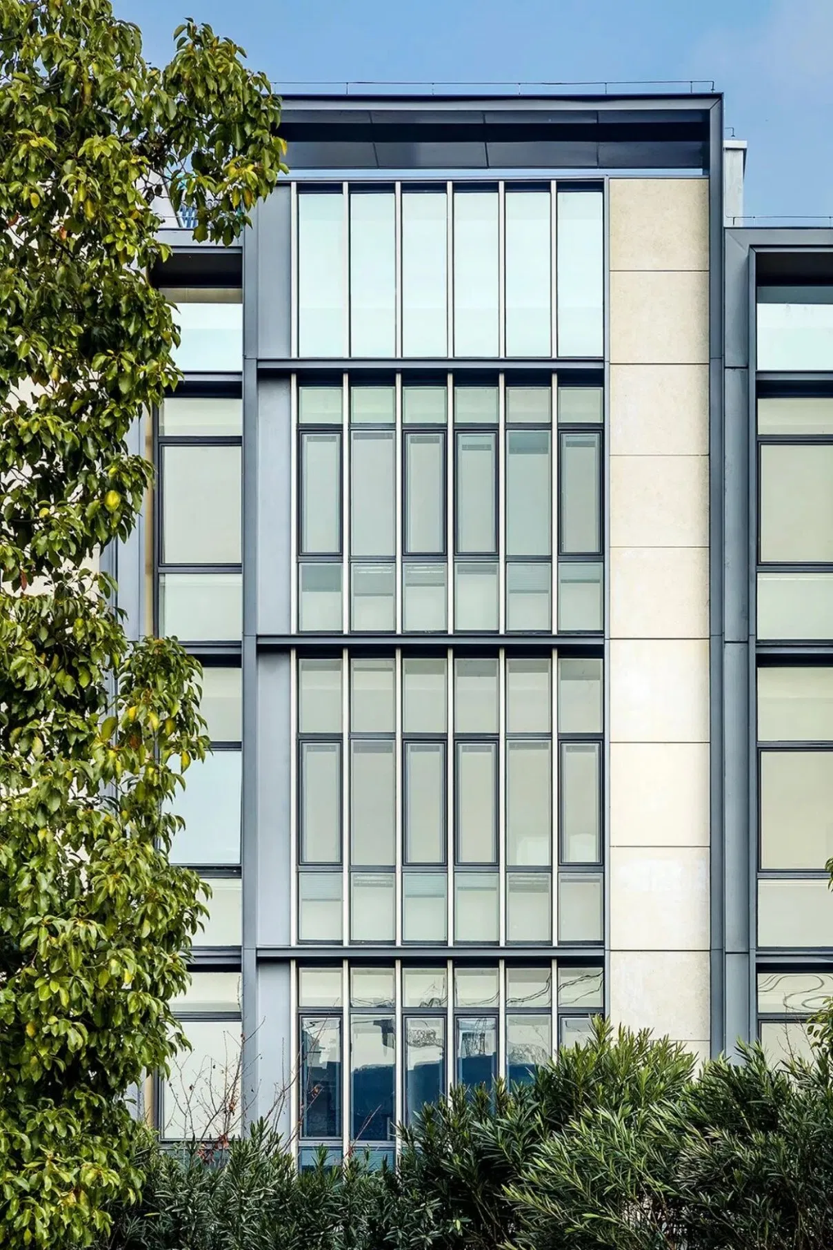 Energy-Saving High-Strength Sturdy Outstanding Steel Glass Glazing Curtain Wall