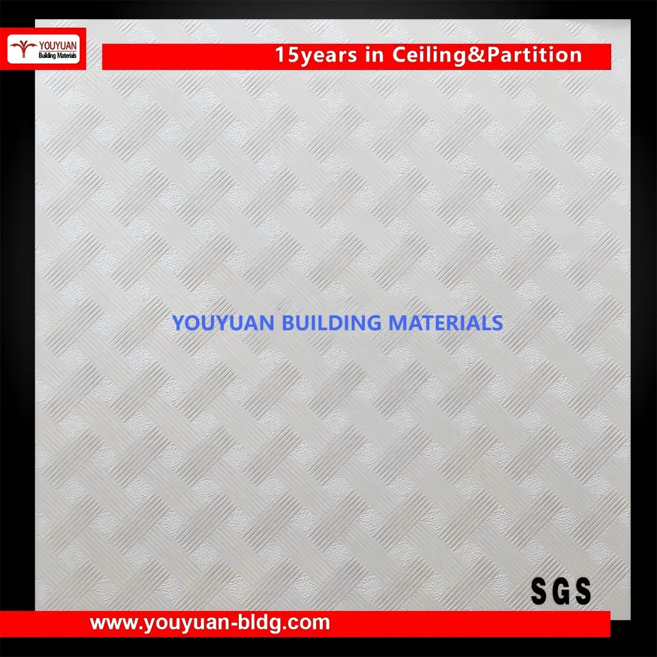 Construction Decoration Products New Building Materials for Ceiling