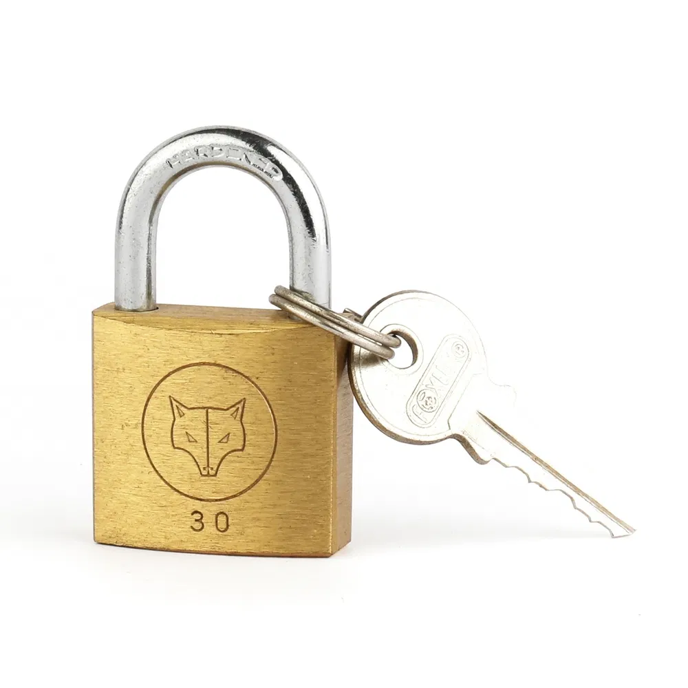 Anti-Rust 40mm 5-Pin Keyed Brass Heavy Duty Padlock for Container