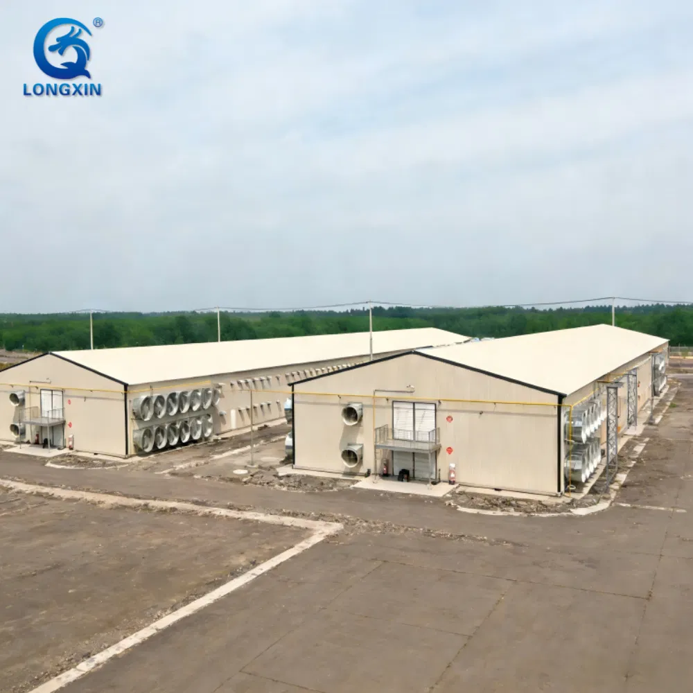 Steel Structure Chicken House Egg Laying Hens Chicken Coop Farm Small Chicken Poultry with Low Price