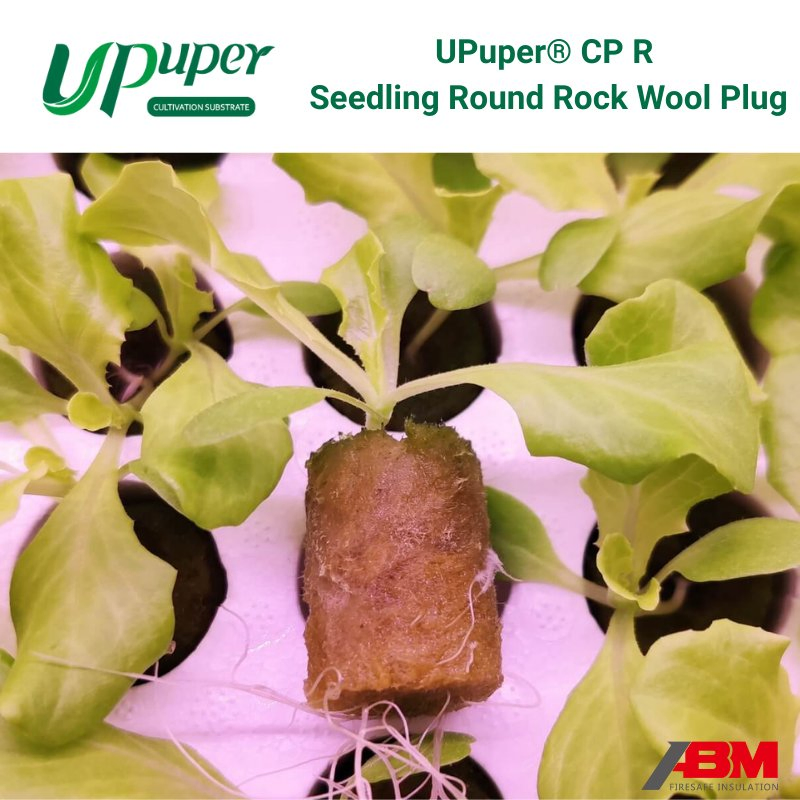 Upuper CPR22 Rock Wool Seedling Starter Plug Mechanical Seedling Compatible Small Size Hydroponic Seedling Substrate Lana de Rock Rock Wool Round Plug