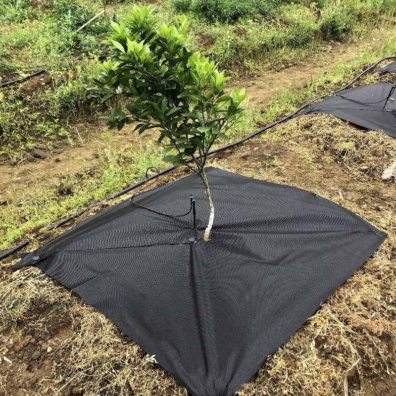 Degradable 70g Anti-Grass Ground Cloth with Nails for Gardening/Greenhouse/Herbs Culture