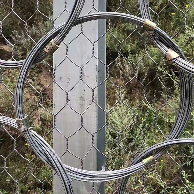 Passive Slope Rockfall Steel Wire Ring Net Sns Slope Protection Netting Mesh