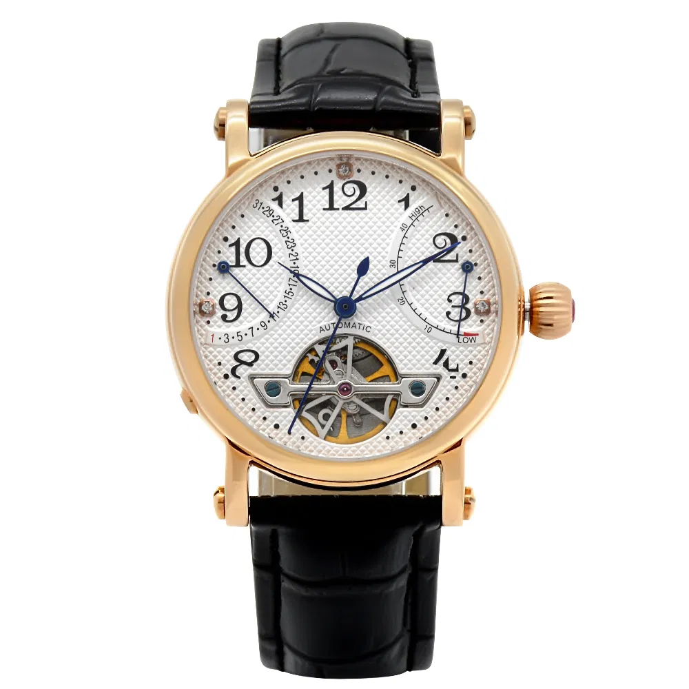 Luxury Automatic Stainless Steel Watch with 3ATM Water Resistant Custom Logo