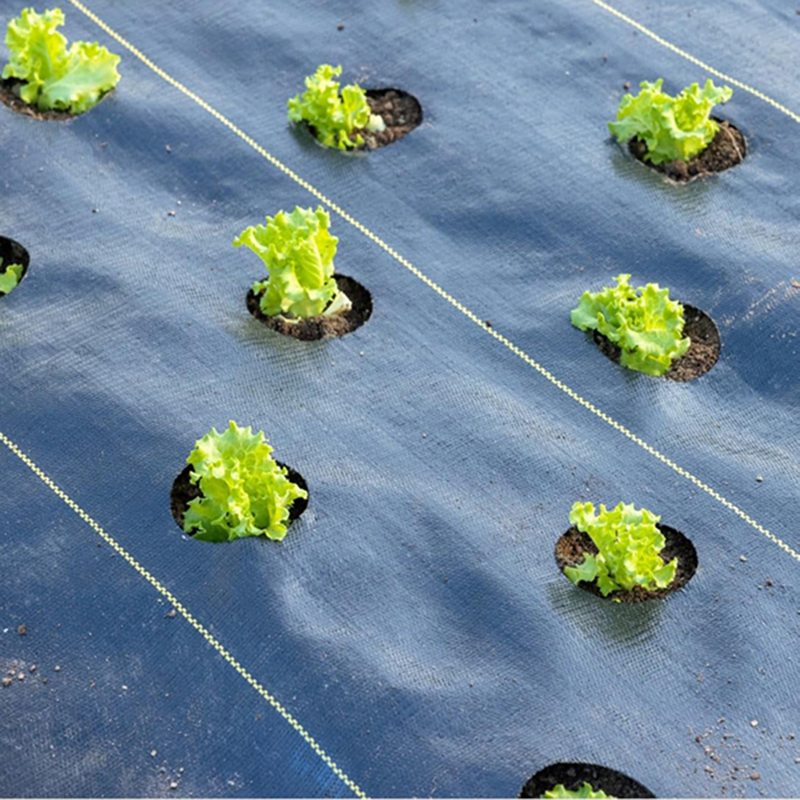 Eco-Friendly Grass and Weed Prevention Cover for Landscaping Solutions