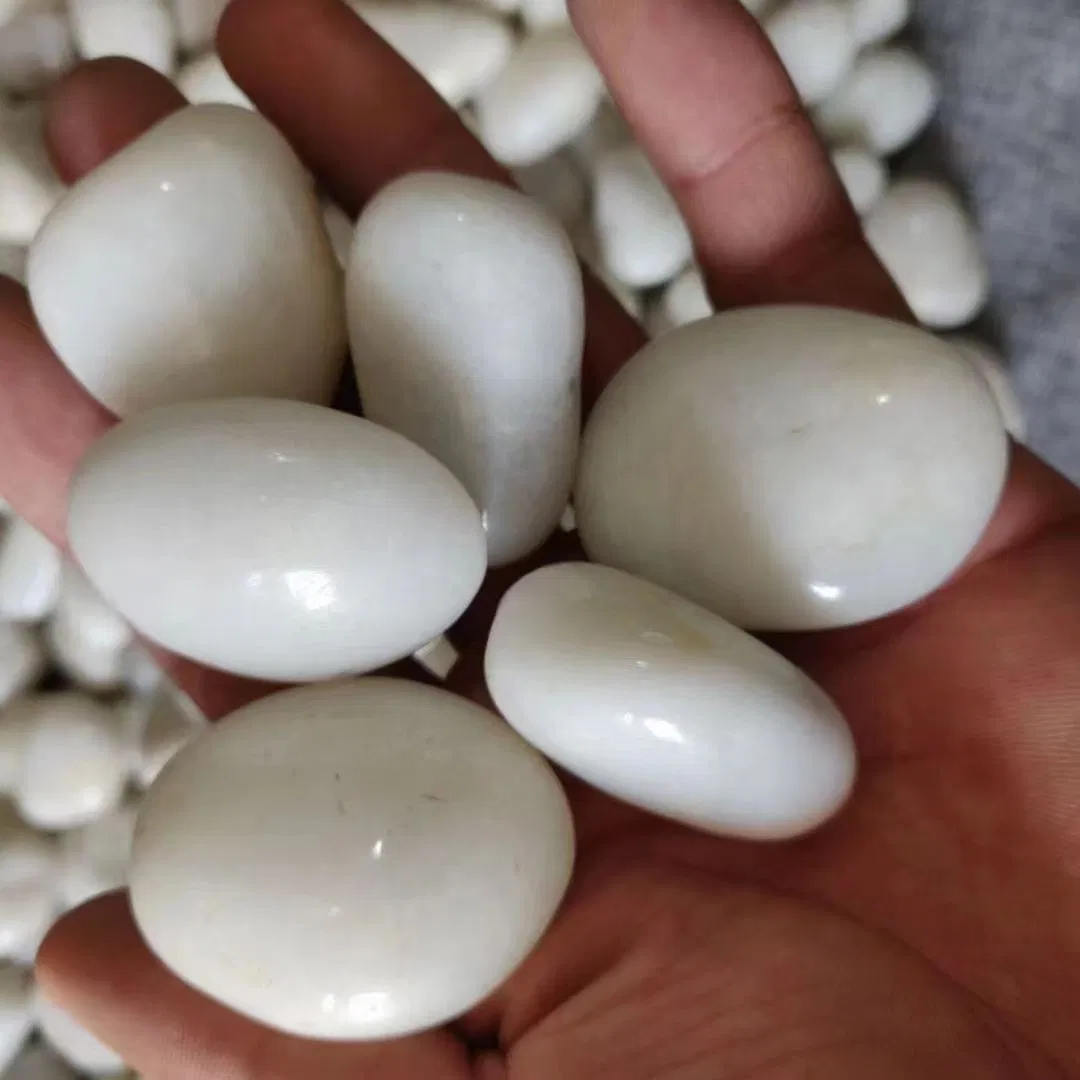 Premium Natural Polished Pebble Stones for Stunning Landscape Design