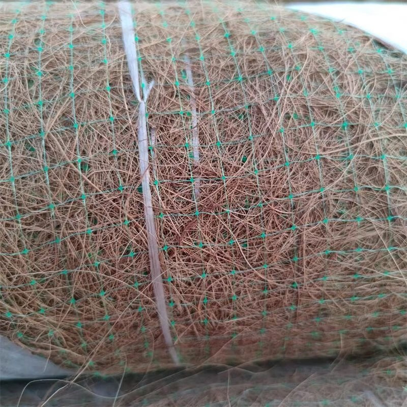 Tr 200GSM-1000GSM Customized Size Coconut/Coco Coir/Fiber Blanket/Mat for Slope Protection/Ecological Restoration/Soil Management