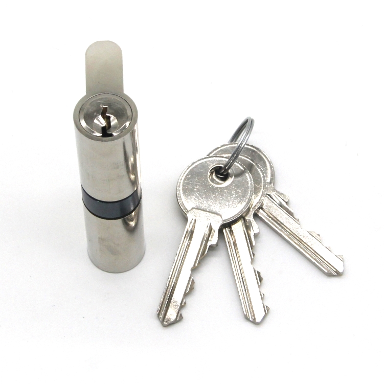 High Quality European Model Door Lock Cylinder Mortise Door Lock Brass Cylinder Master Key Cylinder Lock