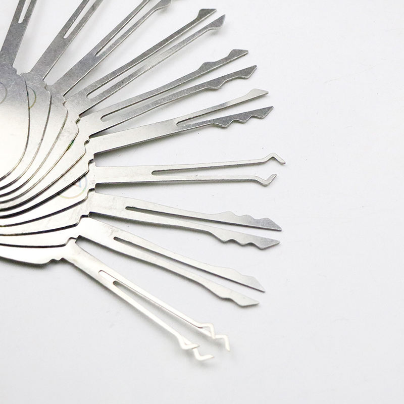 Locksmith Gift Training 10 PCS Transparent Padlock Extractor Set Lock Pick