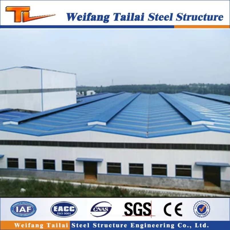 Multilayer Steel Structure with Good Quality and Low Price Construction Apartment