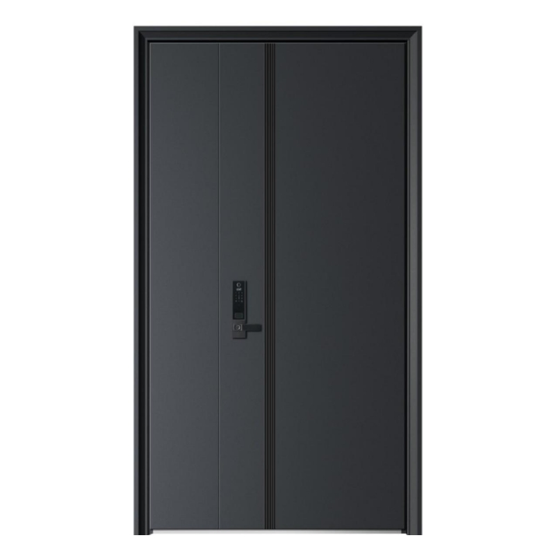 Современная входная дверь из алюминия, противопожарная