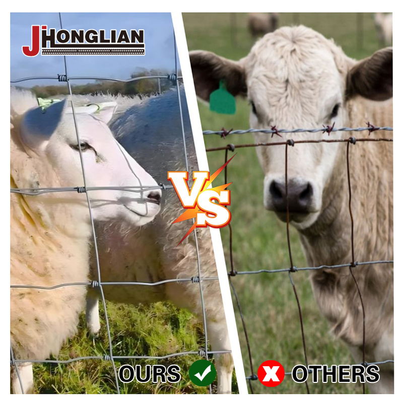 High Tensile Cattle Fence Perfect for Cattle, Sheep, Pasture and Farm Boundary
