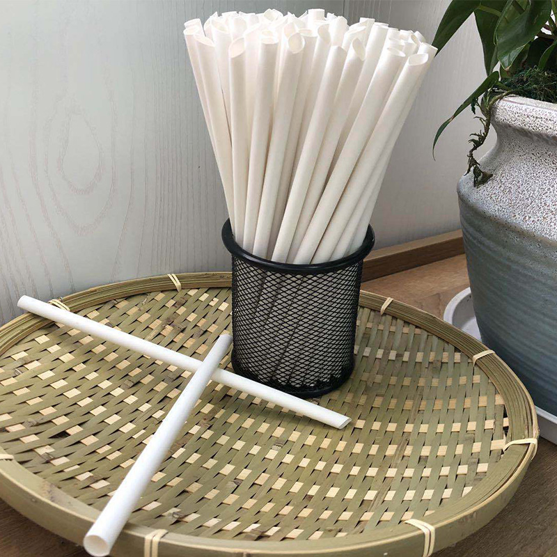 BIOS Eco Friendly Smoothies PLA Free Sugarcanes Straw