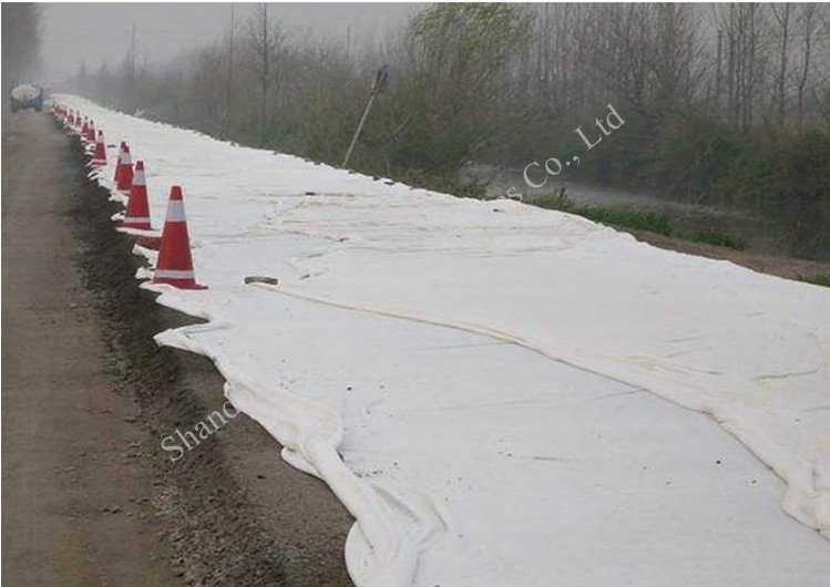 PP/Pet Woven Nonwoven 250g 350g Reinforce Slopes Strongly by Needle-Punched Geotextiles