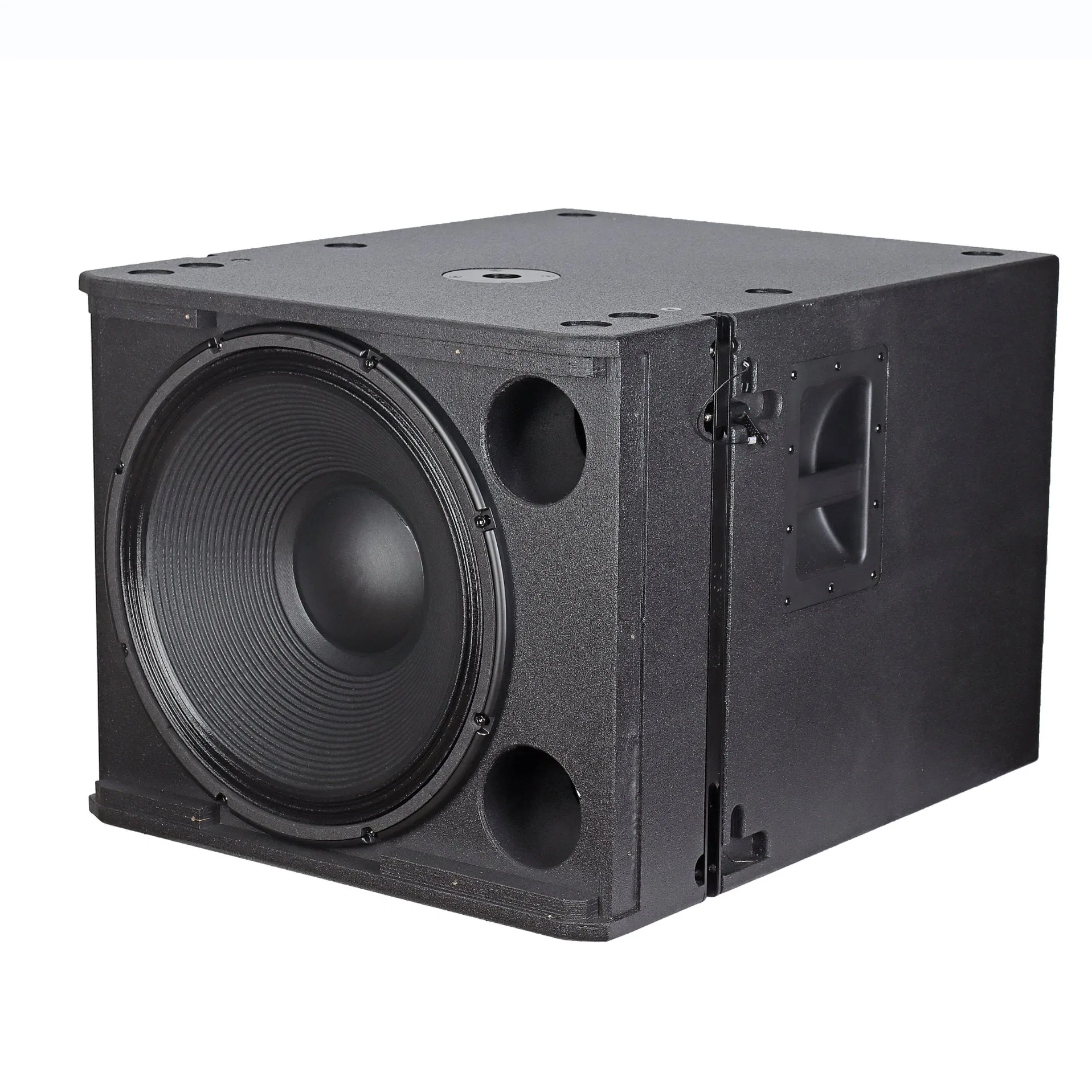 Powerful 800W Subwoofer for Outdoor Performances and Events