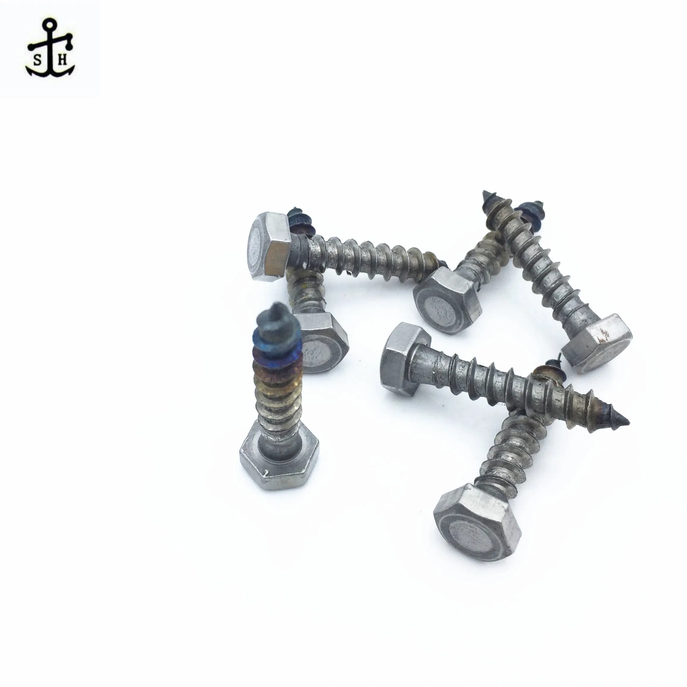 Hardware Fasteners Metal Zinc Galvanized Black Hex Hexagonal Head Wood Screws Lag Screw of DIN571 Made in China