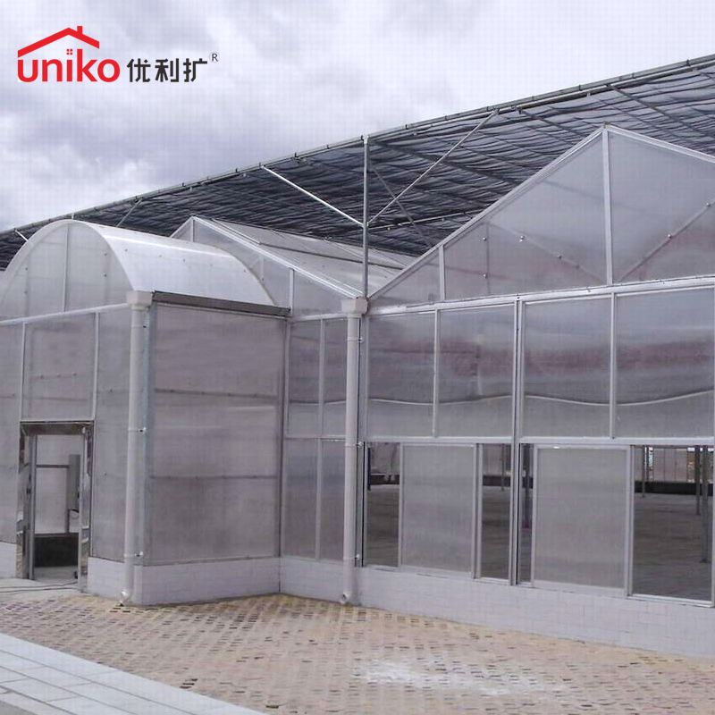 Versatile Corrugated Polycarbonate Sheet for Roofing and Greenhouse