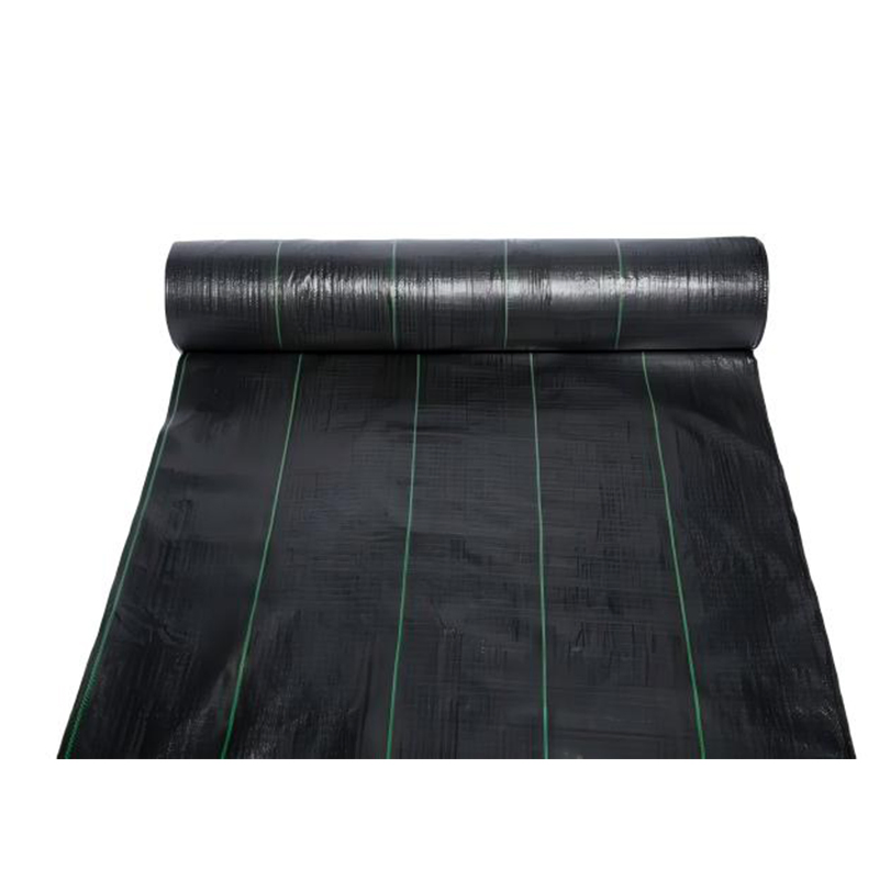 Good Quality PP/PE Weed Mat for Agriculture Application