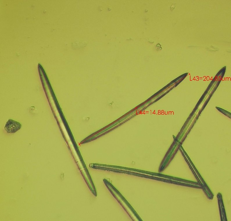 Hydrolyzed Sponge Cosmetic Raw Material No. 002-250μm-98% Spicule/ Microneedle for Hair Regrowth